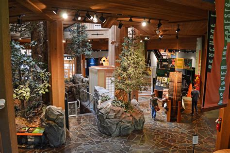 Discovery Museum To Reopen Summer 2022 World Forestry Center
