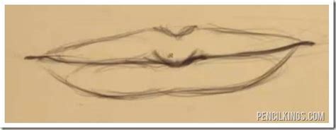 Contact me hereand let me know. Male Lips Drawing at GetDrawings | Free download