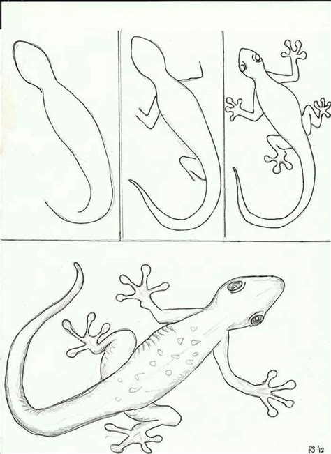 Lizard Art Lessons Easy Drawings Drawings