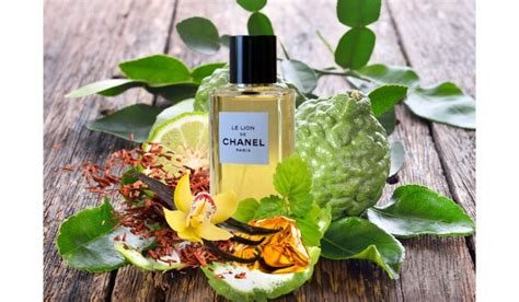 We Offer A Premium Servicehistory Of Chanel Perfume Everything You