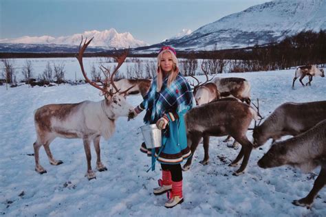 Reindeer Feeding And Saami Culture Sami Culture Tromsø Norway