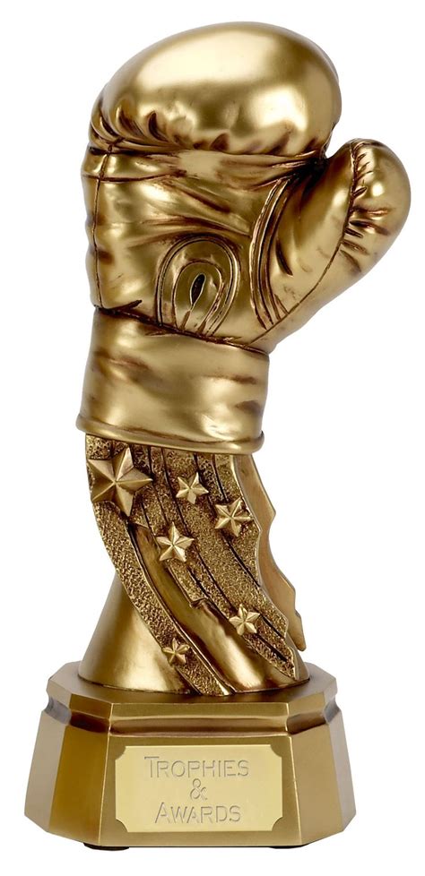 Boxing Trophy Mister Gold Pinterest Gloves Search And Boxing