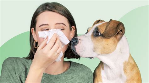 10 myths about allergies everyday health