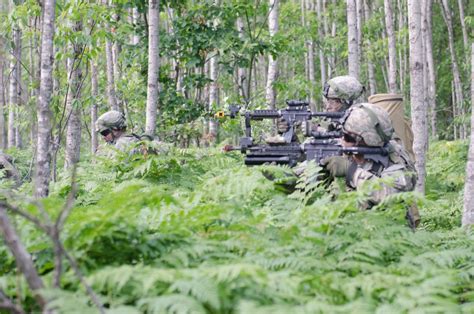 Getting back to the basics of light-infantry skills | Article | The