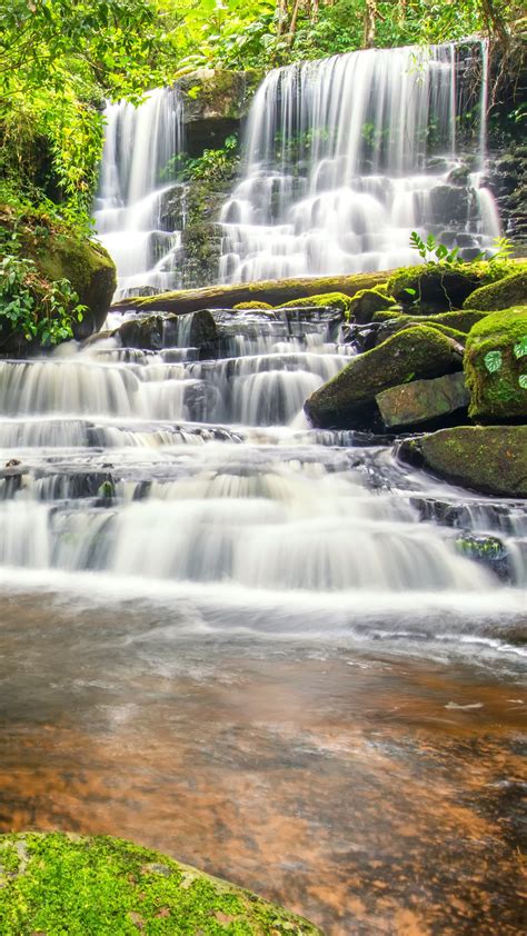Waterfall Stream Between Green Trees Plants Algae Covered Rocks 4k 5k