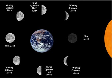 8 Phases Of The Moon As Seen From Earth The Earth Images Revimageorg