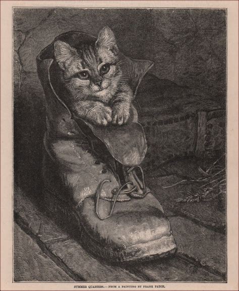 Kitten Cat In A Boot Charming Engraving By F Paton Antique Original