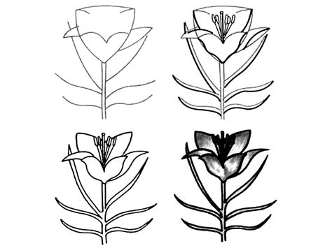 Now, you have not only learned ho to draw flames but also how to draw a campfire at night. How to draw a simple flower step by step with pencil: 18 ...