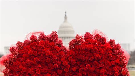 For those interested in contributing, you can post the valentine scenes for the new servants here, preferably sometimes, simply admiring birds and flowers too is quaint. Woman uses 2,000 flowers to create giant heart at U.S ...
