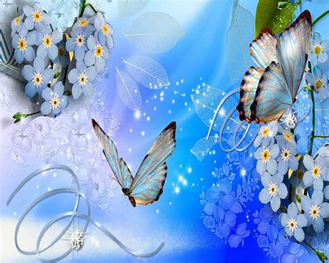 Download Wallpapers Butterflies Gallery