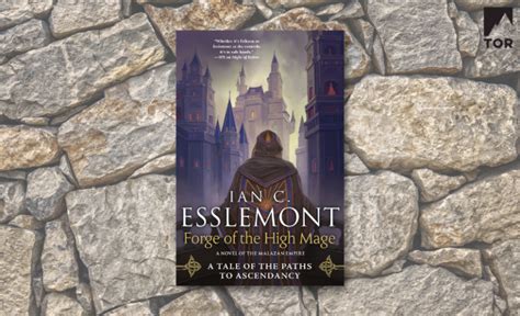 Excerpt Reveal Forge Of The High Mage By Ian C Esslemont 42