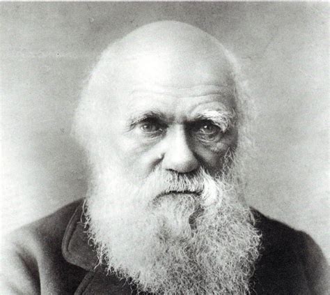 The Biologian Darwin Regrets Not Enjoying The Finer Things In Life