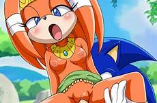 sonic hentai sex rouge bat tikal xxx echidna unleashed mobius wave female tails hedgehog girl sweet deletion flag options tumblr
