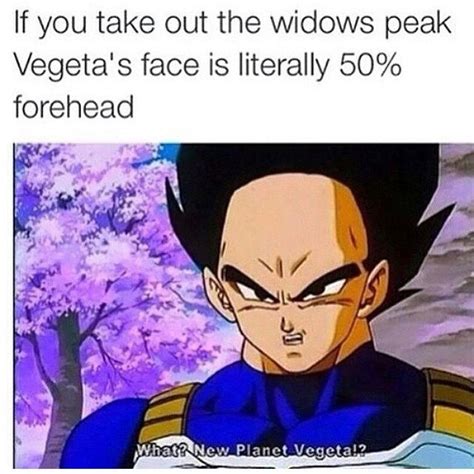 Maybe you would like to learn more about one of these? 30 Insanely Funny Dragon Ball Memes That Will Make Fans Doubt Everything | GEEKS ON COFFEE