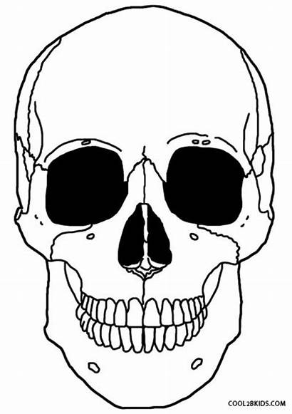 Skeleton Coloring Pages Head Printable Anatomy Drawing