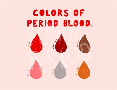 Colors Of Period Blood Informative Menstruation Illustration