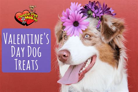 Your pet is part of the family, and should be treated as such. Valentine's Day Dog Treats - Aussie Pet Mobile Greater ...