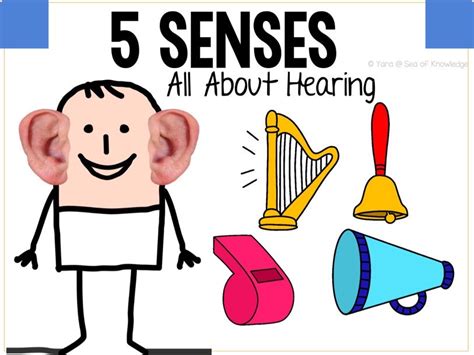 Lets Learn About The 5 Senses Hearing Free Games Online For Kids In