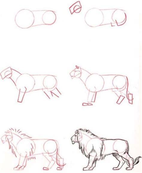 How To Draw Easy Animals Step By Step Image Guide Animal Drawings