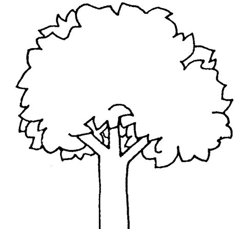 Fall Tree Clip Art Outline Png Clipart