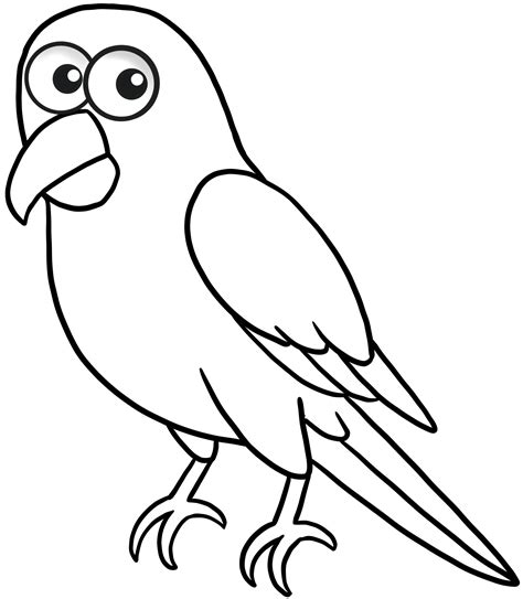 Parrot Pngs For Free Download