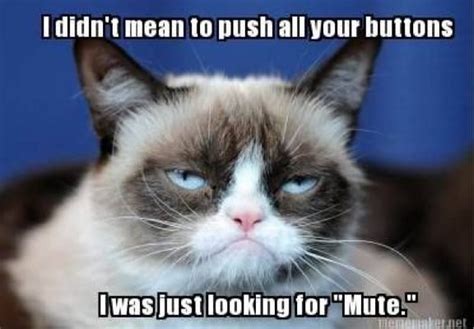 Mute Button Funny Cat Memes Funny Grumpy Cat Memes Grumpy Cat Humor