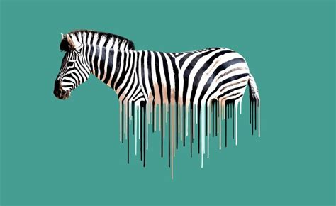 Zebra Green 2013 Digital Art Giclée By Carl Moore Zebra Rise