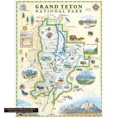 Grand Teton National Park Map Xplorer Maps