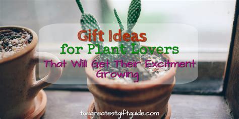 Maybe you would like to learn more about one of these? Gift Ideas For Plant Lovers That Will Get Their Excitement ...
