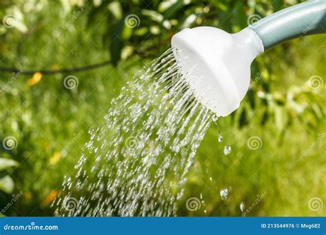 Close Up Water Pouring From A Watering Can Stock Photo Image Of