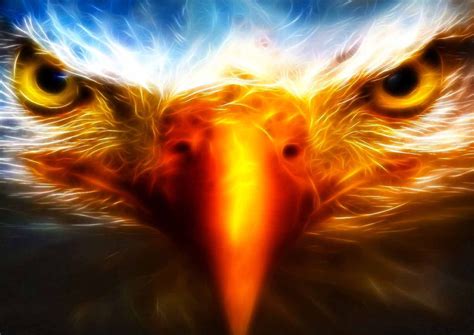 Cool Eagle Animal Backgrounds HD Wallpaper: Desktop HD Wallpaper - Download Free Image, Picture ...