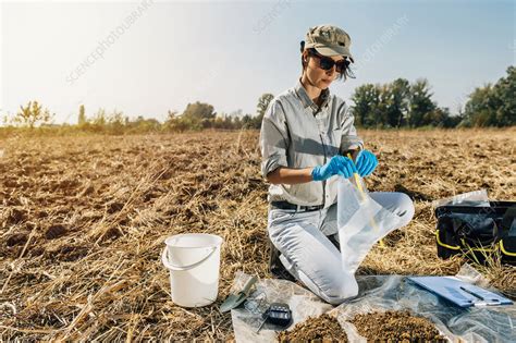 Soil Scientist Taking Soil Sample Stock Image F0241726 Science