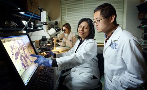 Research & Clinical Trials: Johns Hopkins Kimmel Cancer Center