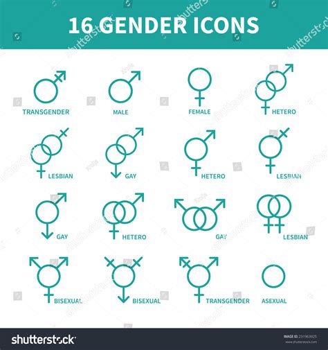 Sexual Orientation Gender Web Iconssymbolsign In Flat Style Male And