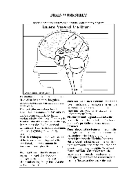 Worksheets are whats in your brain, whats your brain doing, a piece of your mind, the brain, sheep brain dissection picture guide, nervous system work, labeling exercise bones of the axial and. 17 Best Images of Lifestyle Change Worksheet - Phase ...