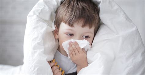 Meskipun lebih cenderung ke dalam kategori obat bius cair obat bius semprot chlorophyll spray menjadi salah satu obat bius yang paling laris saat ini. Simak 7 Cara Mengatasi Anak Flu Berat agar Lekas Sembuh ...