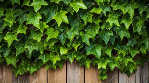 Premium AI Image | Ivy Fence Pattern