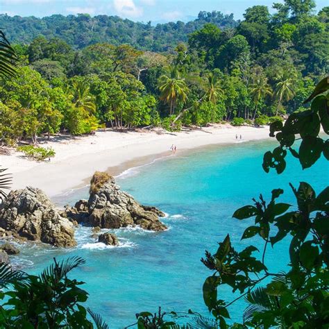 Where In Costa Rica To Vacation In Rainforest Adventures