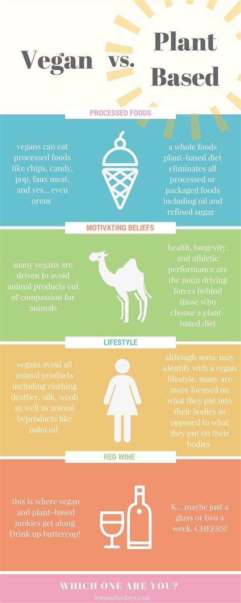 Vegan Vs Plant Based Whats The Difference Between The Two Diets