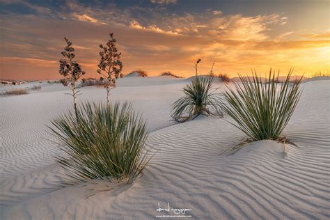 Photography Tips For White Sands National Monument Photographers