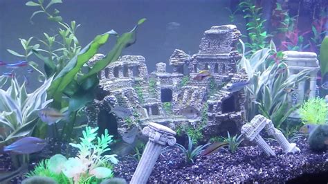 Pin By Love Jewel On The Aquarium Love Fish Tank Themes Fish Tank