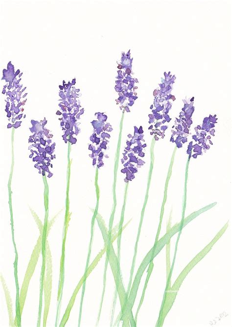 Use overlapping u shaped lines to form the petals of the bloom. watercolor paintings of lavender | Lavender Watercolor ...
