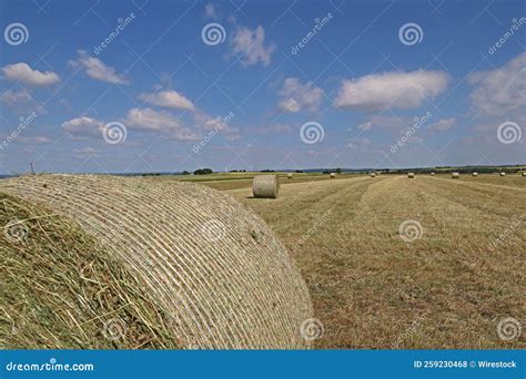 Landscape With Harvested Fields And Rolls Of Hay Stock Photo Image Of