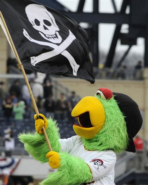 Steely mcbeam is the official mascot of the pittsburgh steelers. 1000+ images about Pittsburgh Pirates Fans on Pinterest | Canon, Parks and Park in