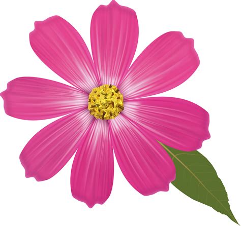 Pink Flower Png Clipart Flower Clipart Transparent Background Full