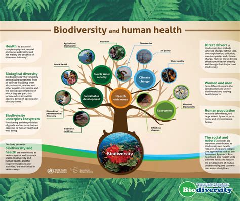 Biodiversity Philippine Clearing House Mechanism