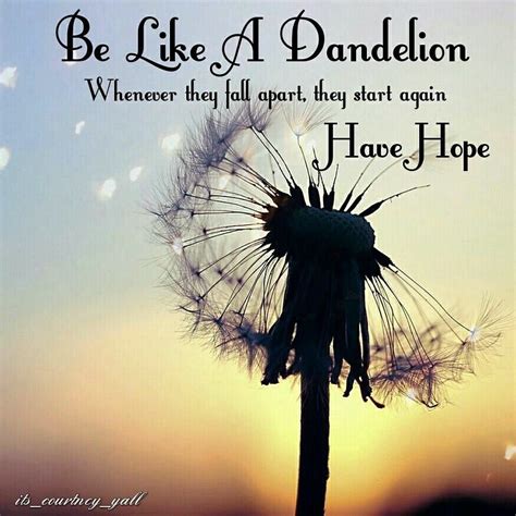 Inspirational Quotes Dandelion Wish Quotes Kaleidoscope 100