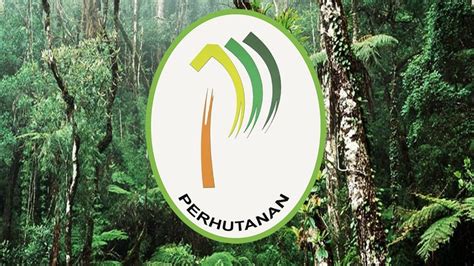 Established in 1900 and was responsible to the state government in administering the state's forest resources. Senarai Cawangan Jabatan Perhutanan Negeri Selangor ...