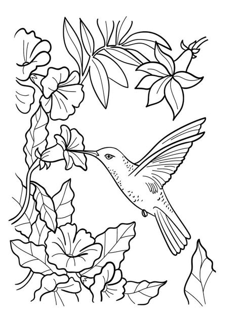 These printable coloring pages offer the perfect opportunity to relax and let loose with markers, colored pencils, and gel pens as you let your creativity shine! Hummingbird Coloring Pages Printable at GetColorings.com ...