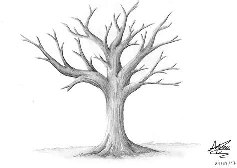 Creepy Tree Drawing At Explore Collection Of